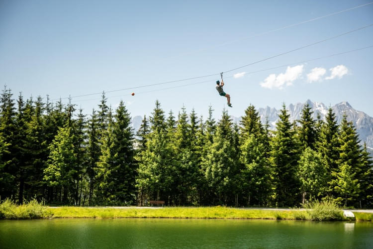 Kletterwald-Hornpark