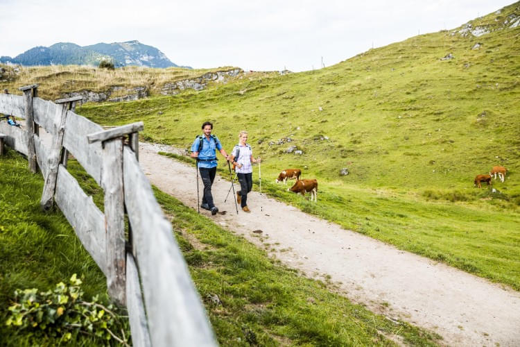 Die-schoensten-Wanderwege